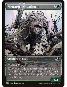 Migratory Greathorn