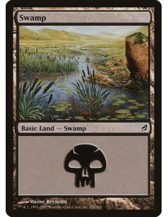 Swamp