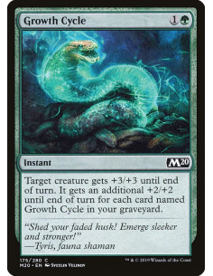 Growth Cycle - Foil