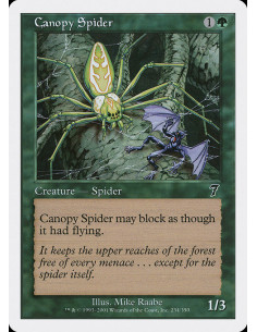 Canopy Spider