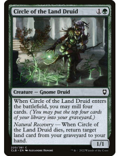 Circle of the Land Druid