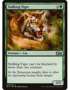 Stalking Tiger
