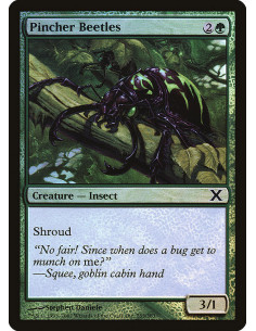 Pincher Beetles - Foil