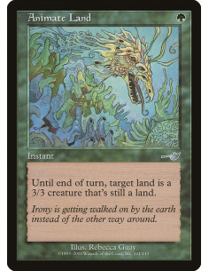 Animate Land - Foil