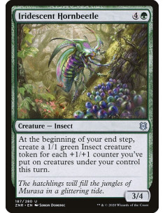 Iridescent Hornbeetle - Foil
