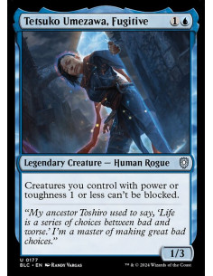 Tetsuko Umezawa, Fugitive