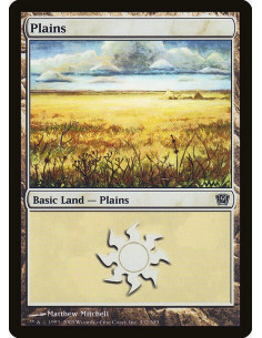Plains - Foil