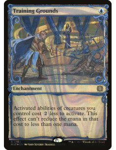 Training Grounds - Foil