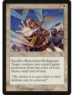 Benevolent Bodyguard