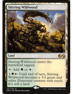 Stirring Wildwood