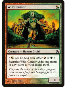 Wild Cantor