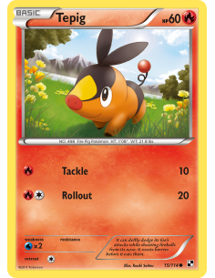Tepig