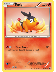 Tepig