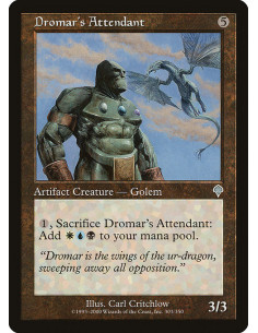 Dromar's Attendant