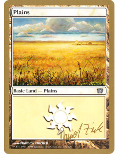 Plains