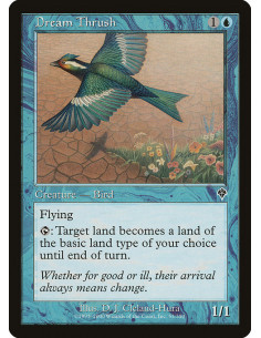 Dream Thrush - Foil