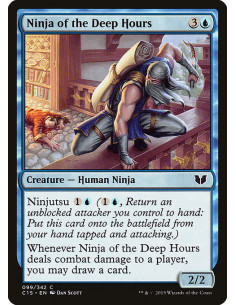 Ninja of the Deep Hours