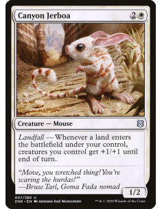 Canyon Jerboa - Foil