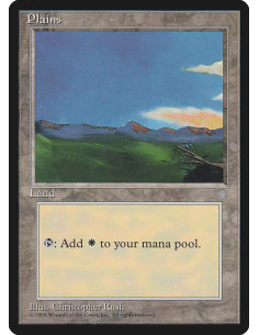 Plains