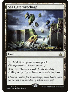 Sea Gate Wreckage - Foil