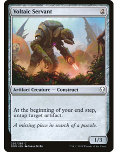 Voltaic Servant