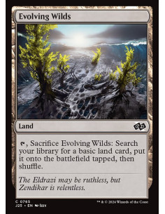 Evolving Wilds
