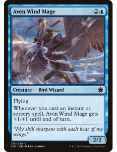 Aven Wind Mage