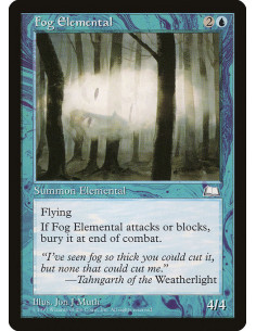 Fog Elemental