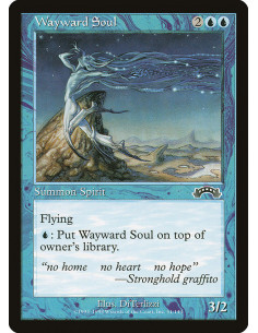 Wayward Soul