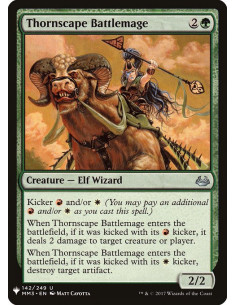 Thornscape Battlemage