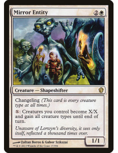 Mirror Entity