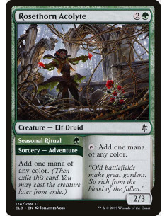 Rosethorn Acolyte // Seasonal Ritual