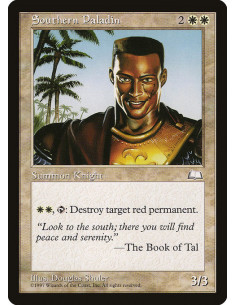 Southern Paladin