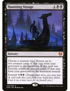 Haunting Voyage
