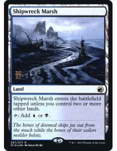 Shipwreck Marsh - Foil
