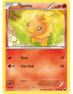 Torchic
