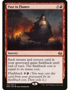 Past in Flames