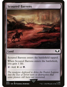 Scoured Barrens