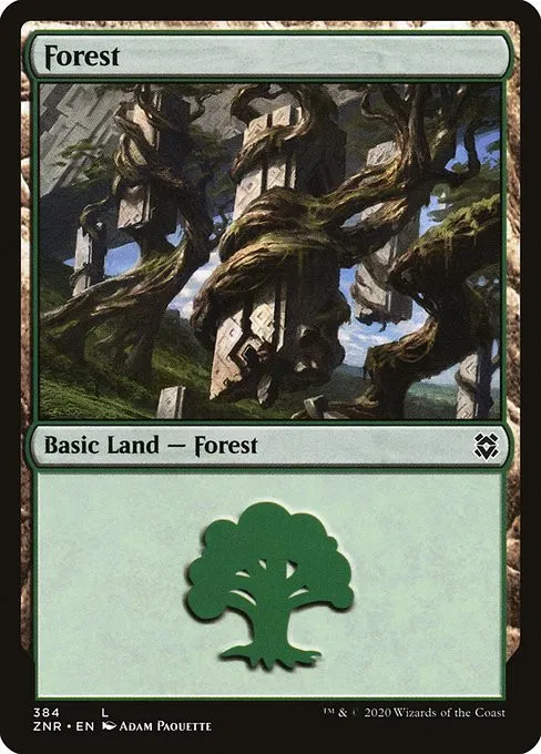 Forest - Foil
