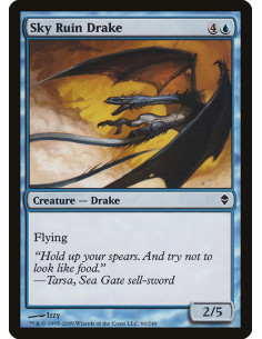 Sky Ruin Drake