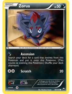Zorua