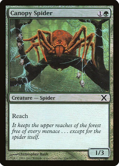 Canopy Spider - Foil