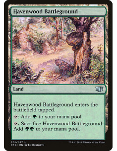 Havenwood Battleground