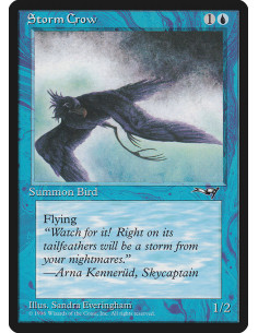 Storm Crow