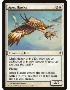 Apex Hawks