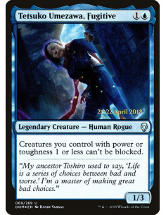 Tetsuko Umezawa, Fugitive - Foil