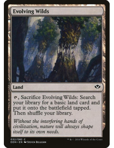Evolving Wilds