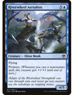 Riverwheel Aerialists - Foil