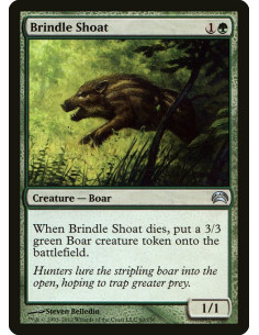 Brindle Shoat