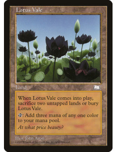 Lotus Vale